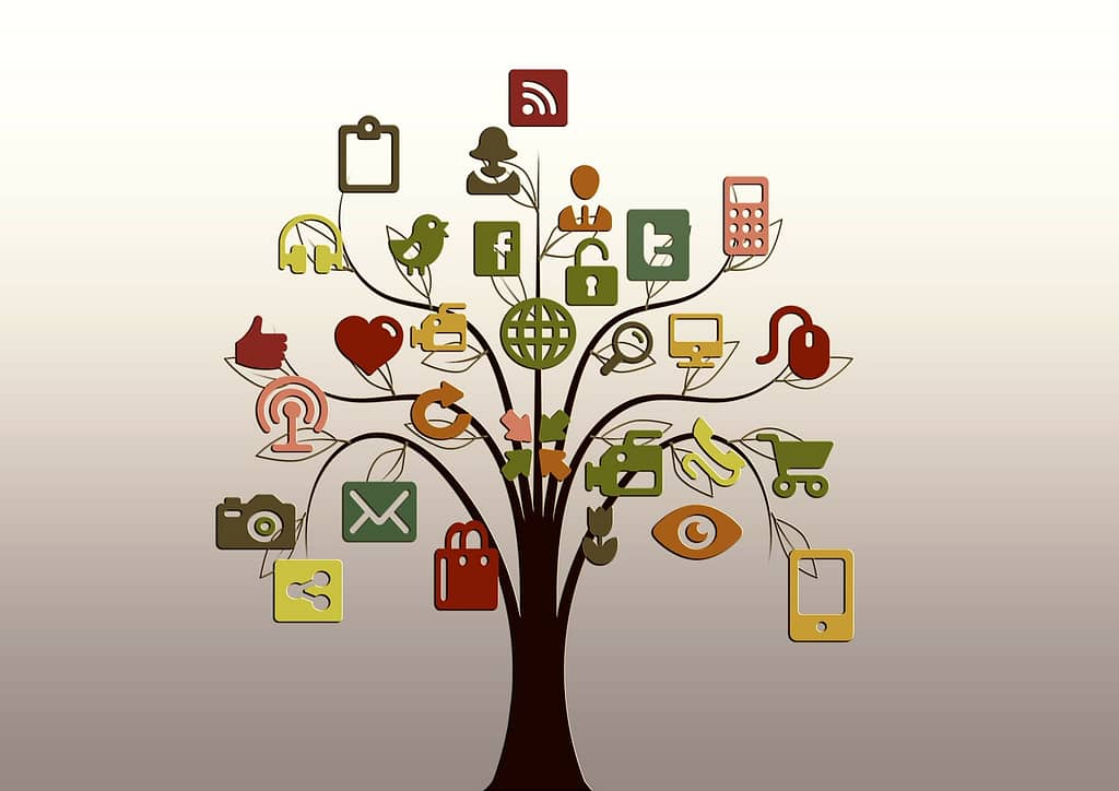 Social media marketing for business growth
